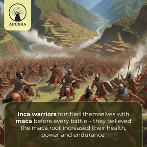 Black Maca Powder - Arusha Foods