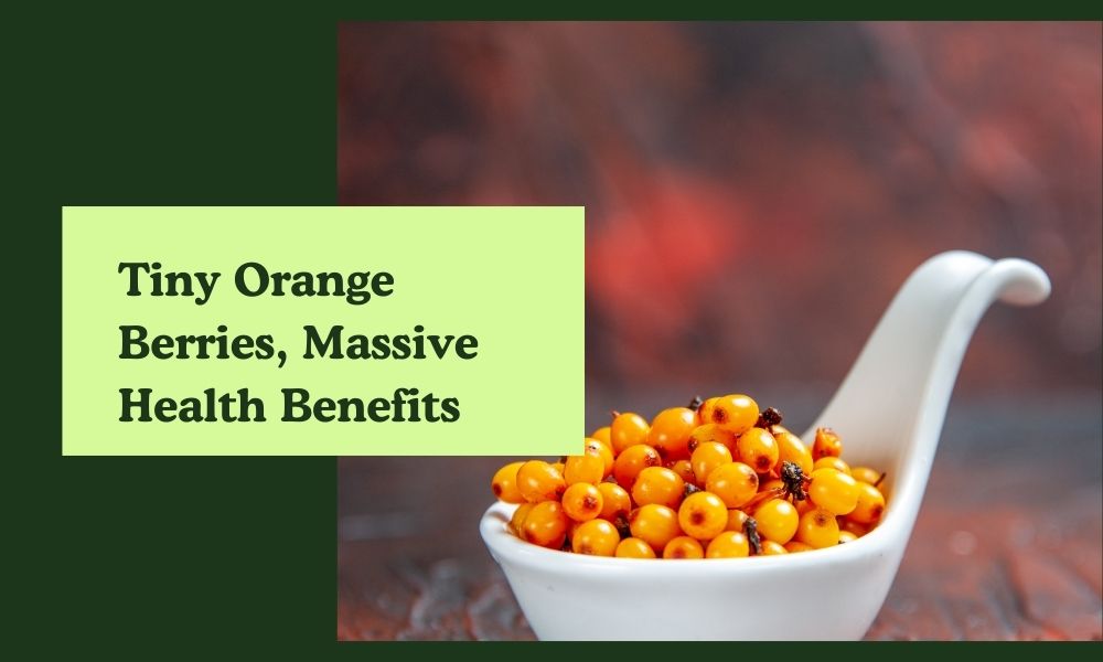 Sea Buckthorn Berry: Benefits, Uses & Why It’s Trending in Wellness