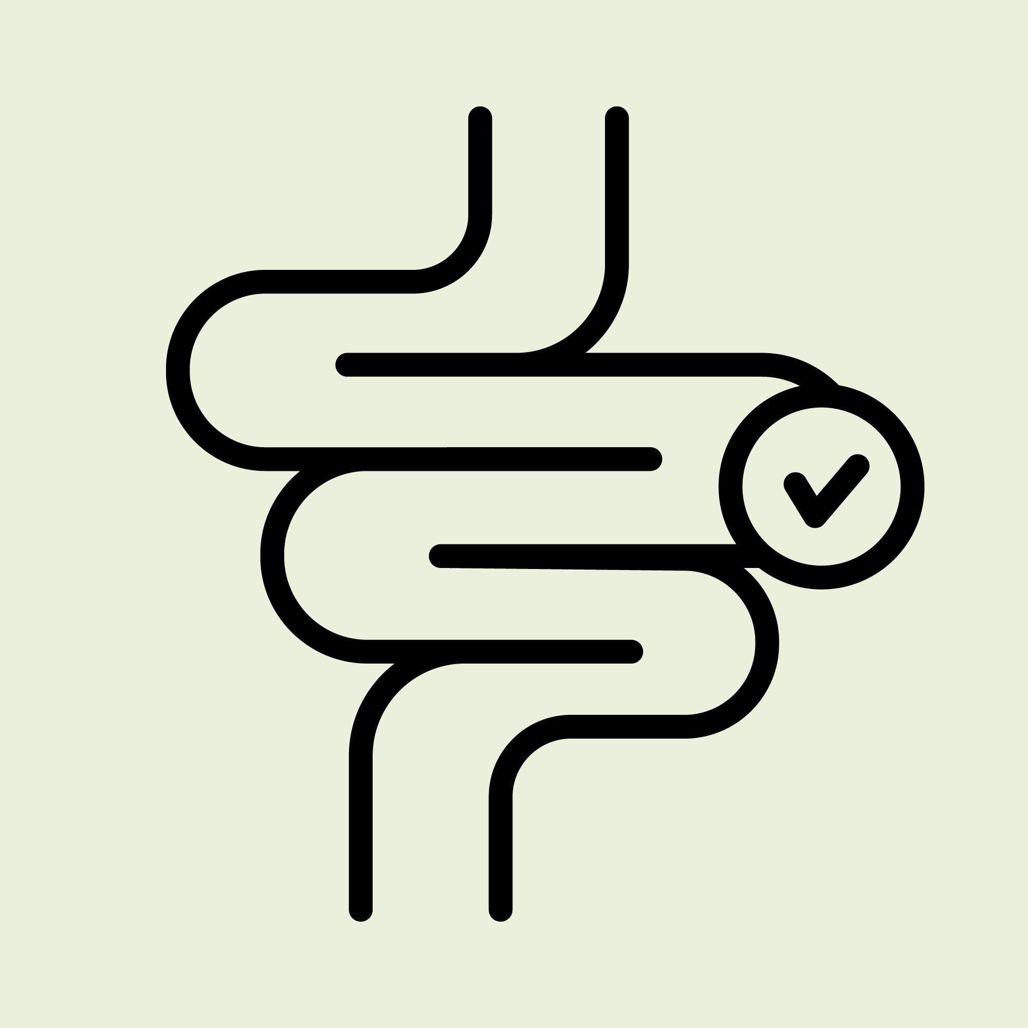 Gut Health