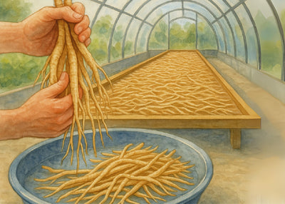 ashwagandha-step-3
