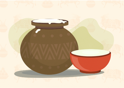 A2 Ghee Making Step 2