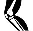 High Cholestrol