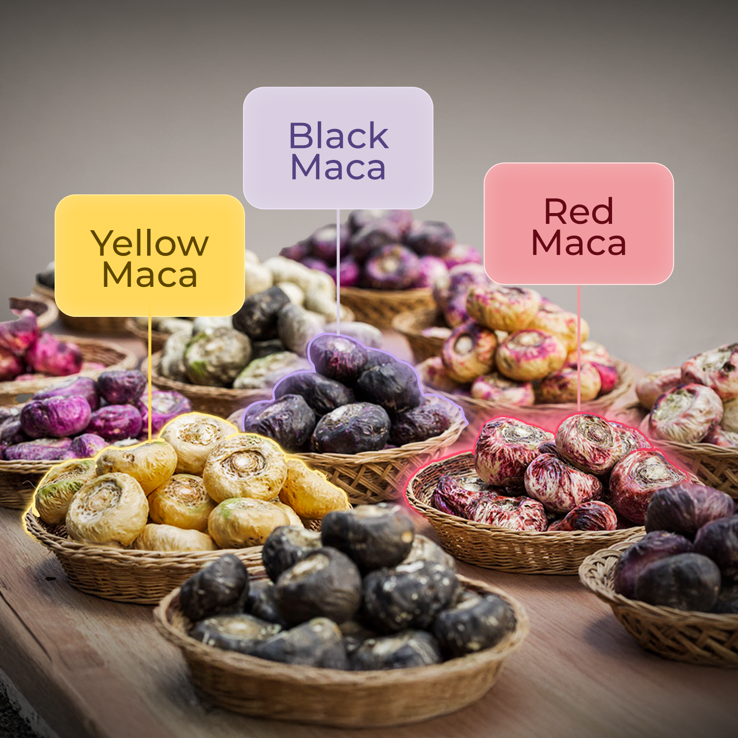 Black vs Yellow vs Red Maca Powder 