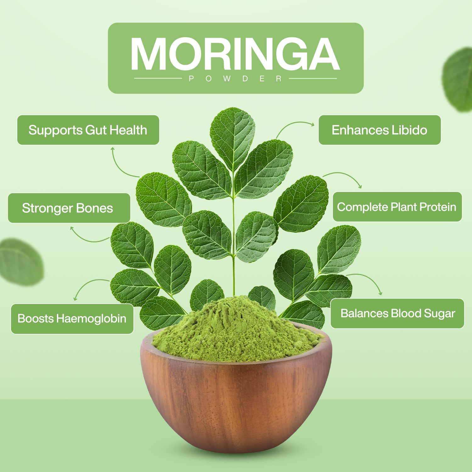 Moringa Powder Benefits