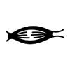 Muscle Fatigue