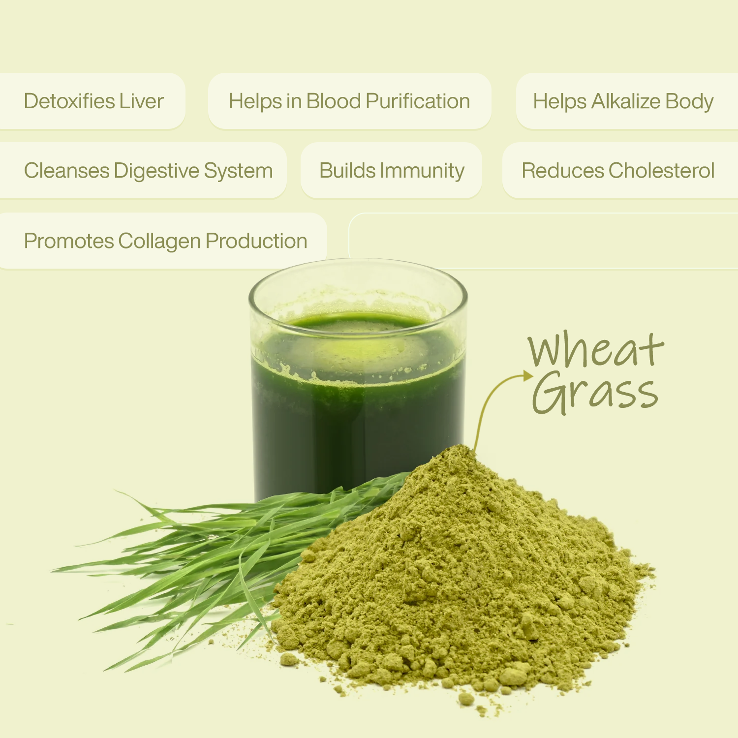 Wheatgrass Powder Benefits