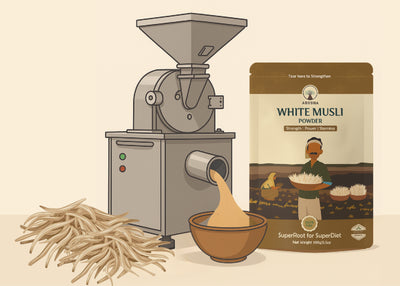 White Musli Kese Banta hai Grinding